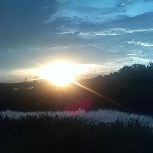 Meet your Posher, Brunilda